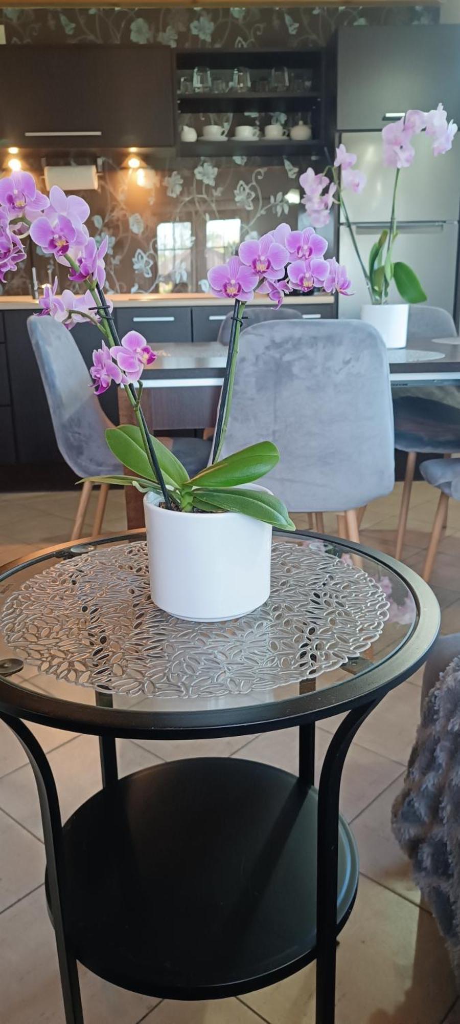 Diament Rogowo Villa โรโกโว ภายนอก รูปภาพ